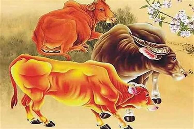 梦见死人活了又死了是什么兆头