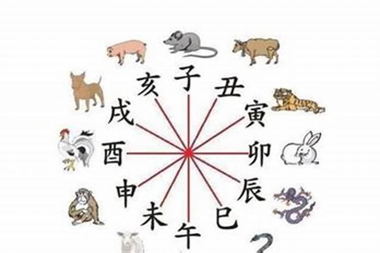 龙虎属相犯冲怎么化解
