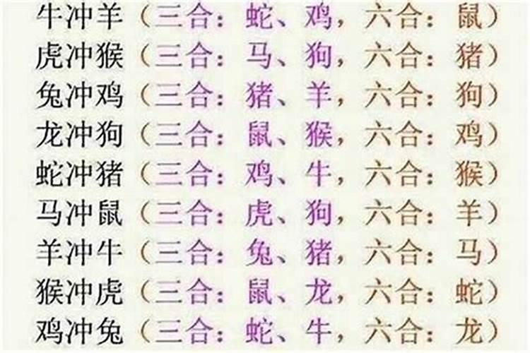 立碑犯冲生肖是什么意思