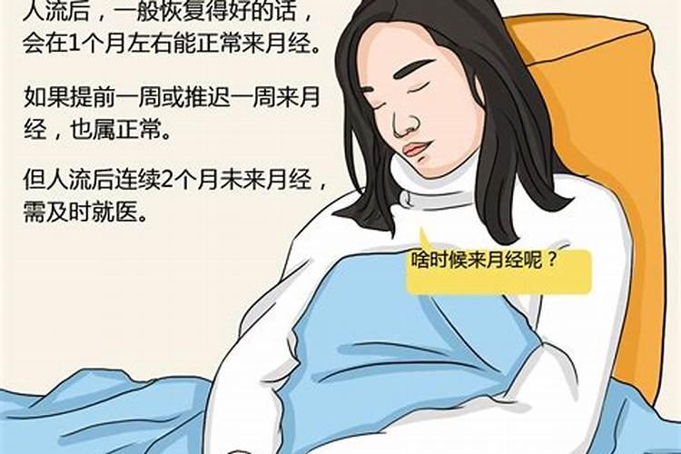 生肖猪1995年2025年运势如何 生肖猪1995年2025年全年运势