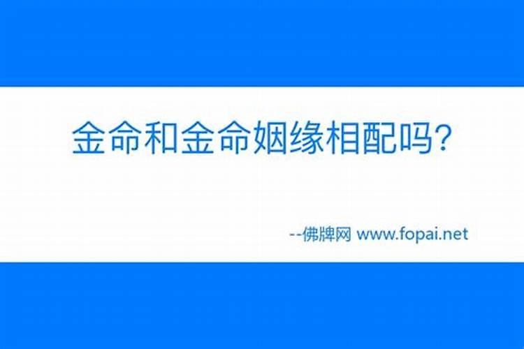 金命和金命是否能在一起？