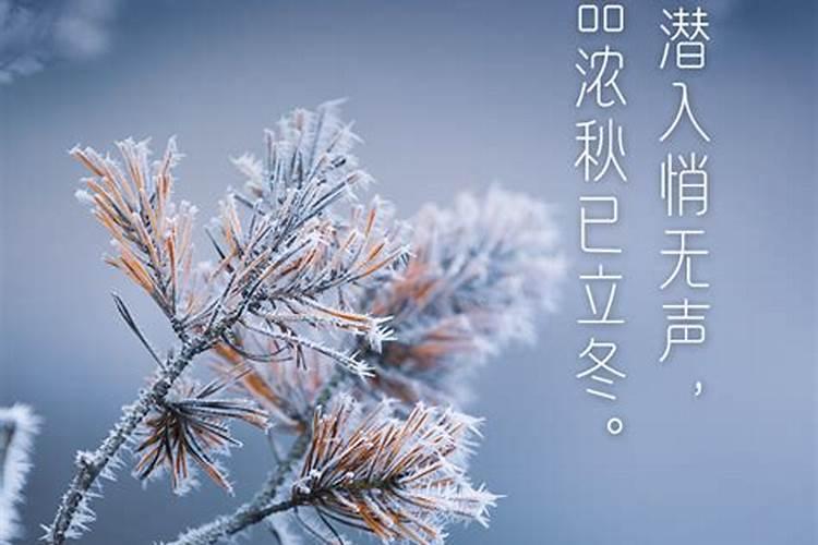63年属兔2025年运势