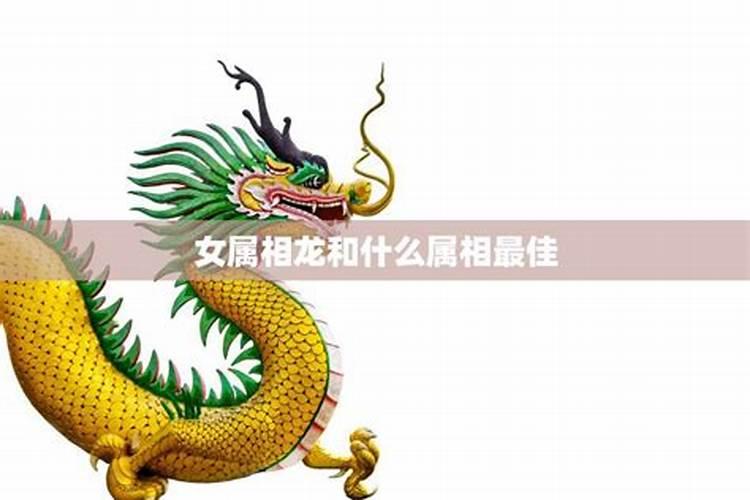 农历9月出生的属羊人命运