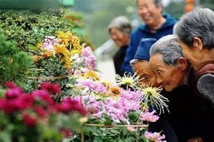 几月狗命苦最忌哪个月生？
