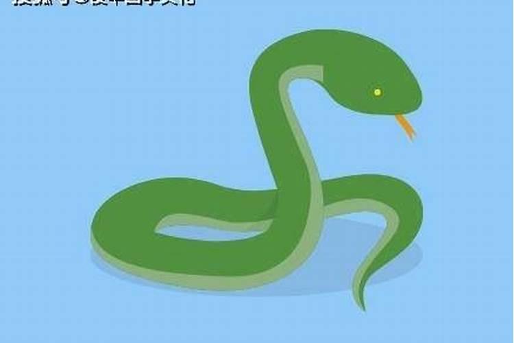 属龙2025年5月19日运势