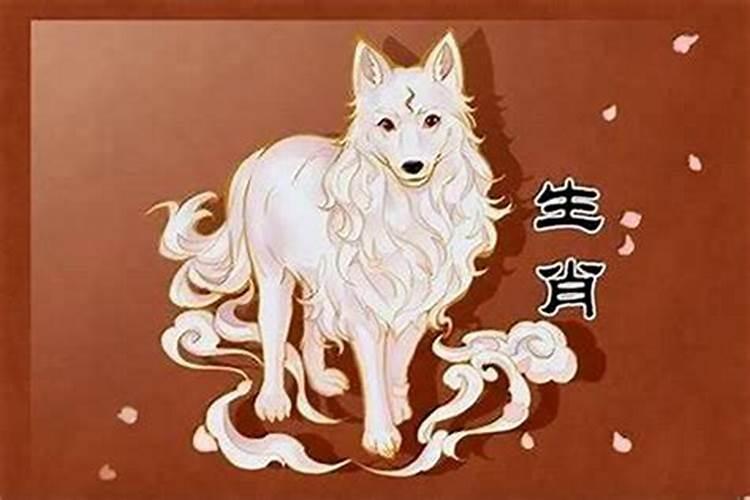 92年属狗的哪年运气最好