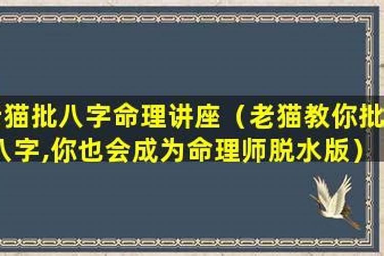 老猫是哪年出生的