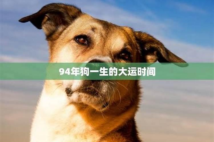 猴年出生的人一生运势