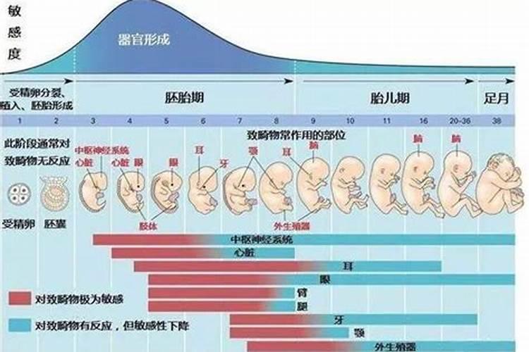 生在立夏这一天好吗 逢贵人提拔声扬名震