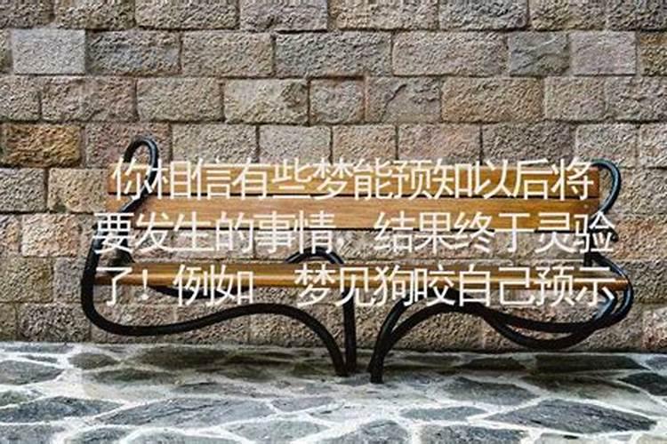 梦见狗说话什么意思 梦见狗说话的含义