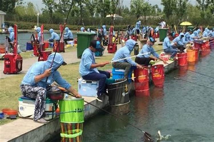96年属鼠的今年姻缘怎么样2024 感情婚姻分析