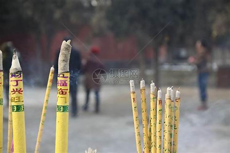 女人梦见猫的10大财运征兆