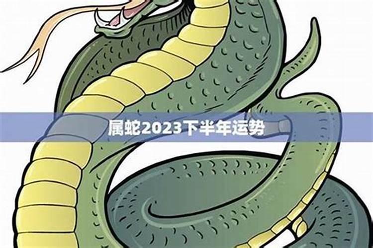 属羊和什么属相最合得来