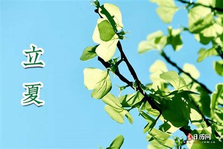 立夏是几月几日 立夏是什么时候