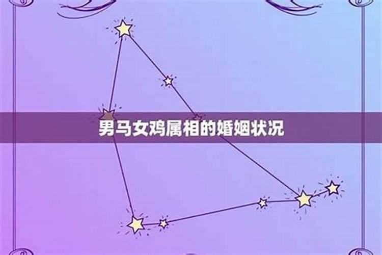 注定一世好命有福气的生肖女,一辈子超好命的生肖女