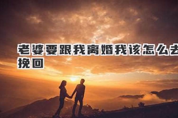 我伤老婆心太深,她要和我离婚,我怎么样才能挽回呢,谢谢!