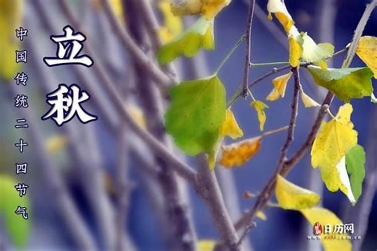 2024年属龙本命年大忌颜色,2024年属龙本命年忌讳用什么颜色