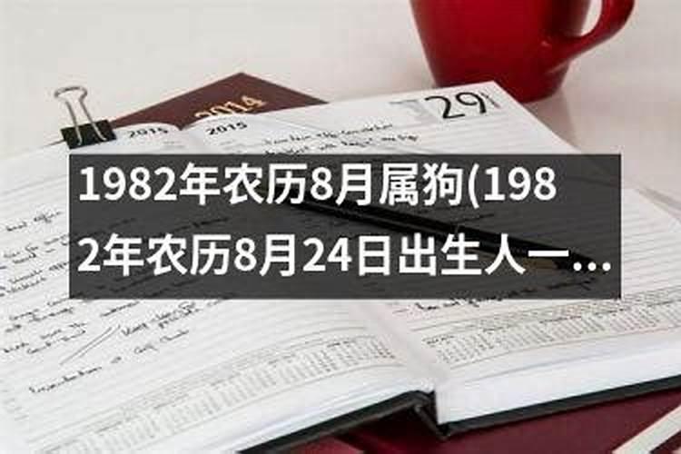 属龙的和属兔的合吗？我是88年的,对象是87年的。