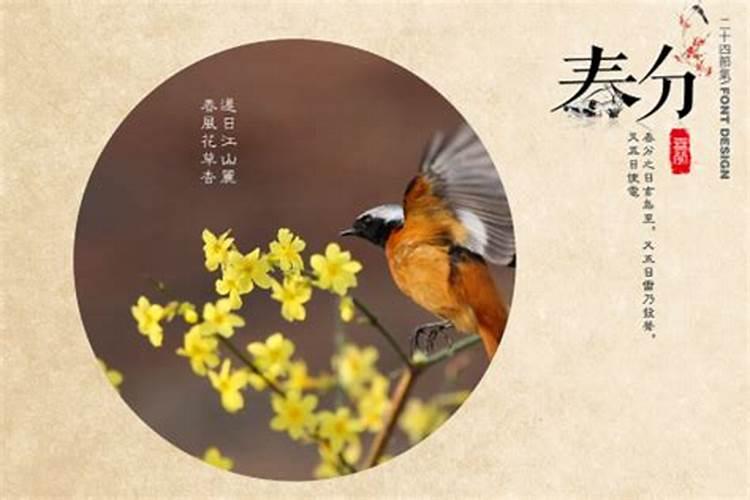属相合但命不合怎么办,属相不合,但命合,能否在一起？