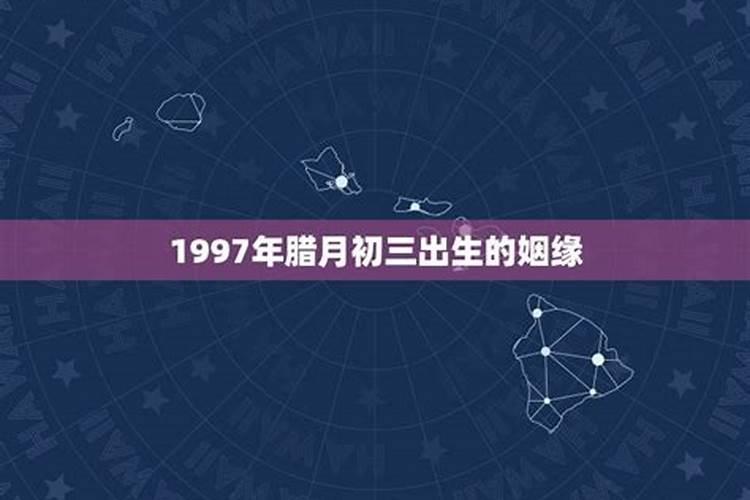 1995年属猪女的命运,95年属猪的是什么命