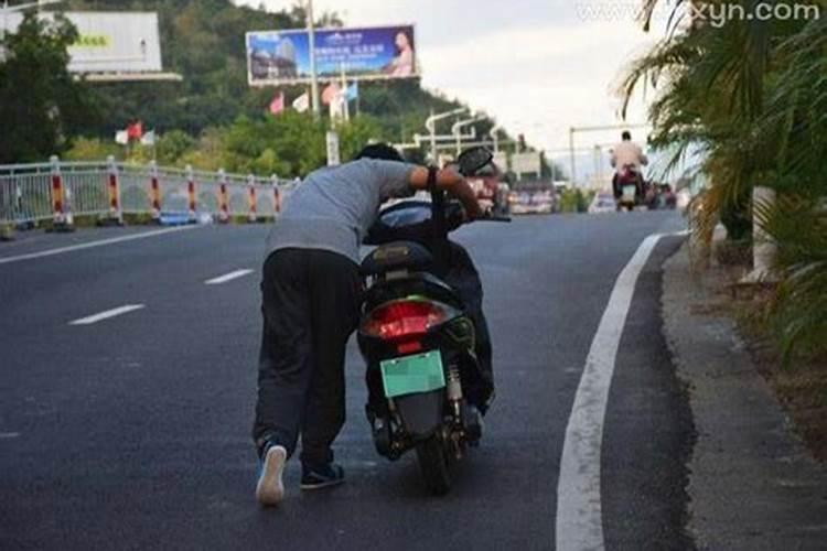 本命年提升运气的方法 铜钱草大旺财运？