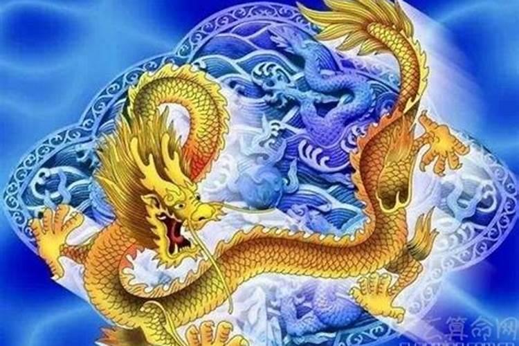 12生肖属金木水火土
