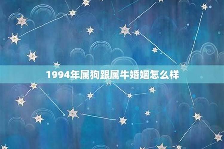 1994年属狗男2025年的运势和婚姻