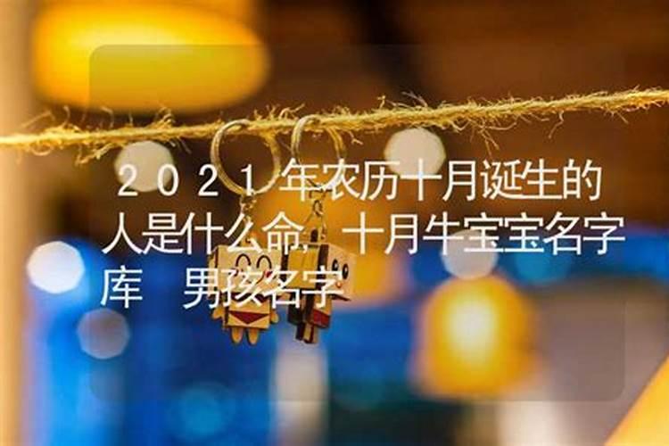 是占卜准一点还是算八字准一点？