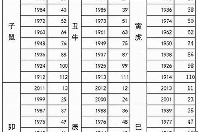 1951年属兔人2024年命运如何
