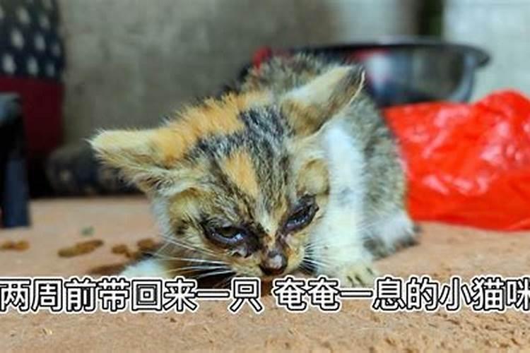 洛阳的名胜古迹有哪些？