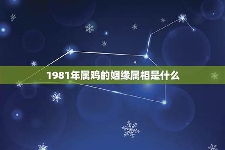 81年鸡人40岁后命运,1981年属鸡人一生运程
