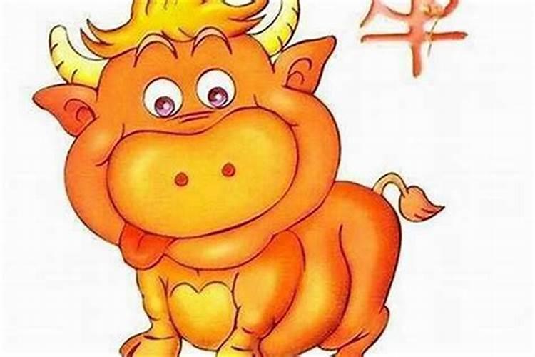 属牛2025年运程分析