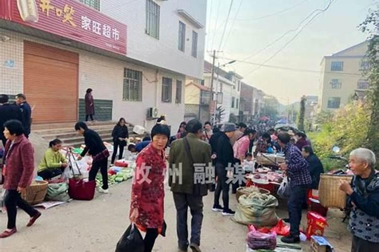 攸县到皇图岭的公交车初二有吗