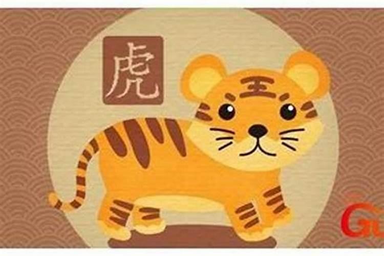 86年本命年虎年要注意什么