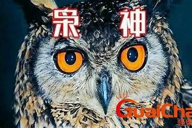 中年女人梦见蛇是什么预兆