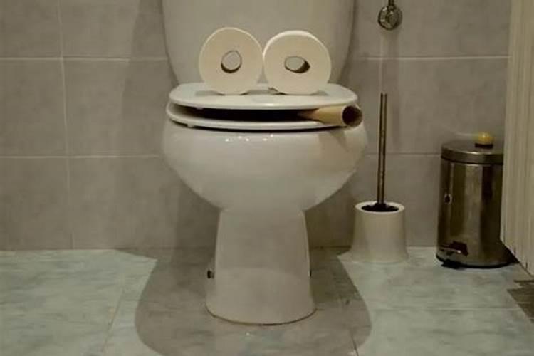 属猪的几月出生最好命属猪人出生月运势怎么样