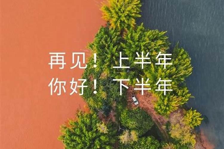 梦见从枣树上摘下坏枣的预兆