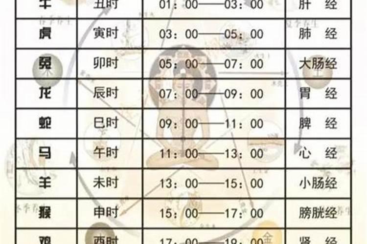 辰时是几点几分到几点钟的