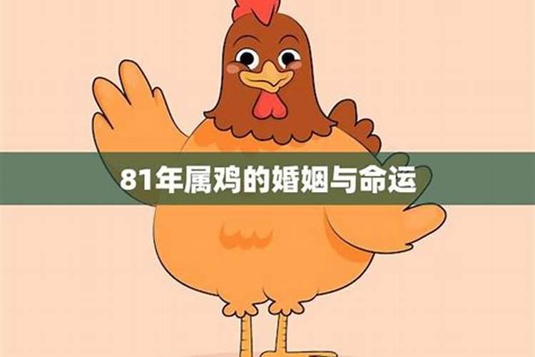 1981年鸡2025年贵人