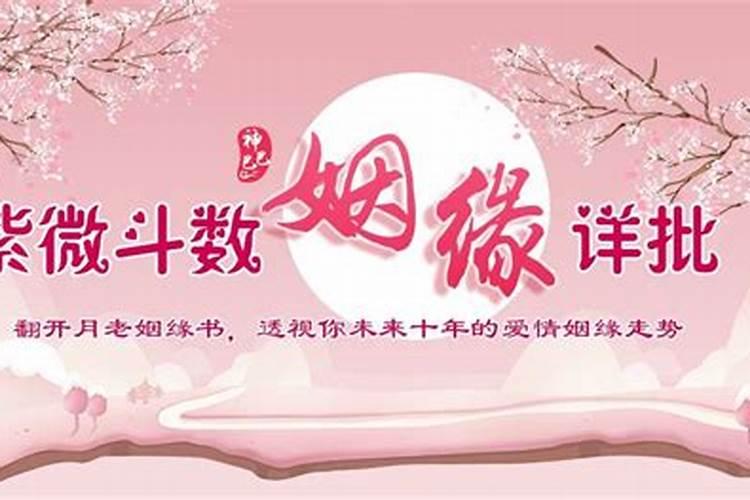 梦见被一只猫抱着睡觉的预兆
