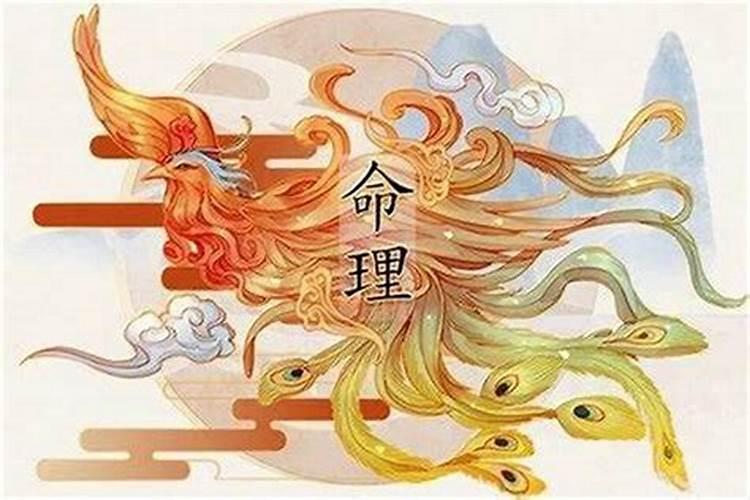 八字命局中天乙贵人的特点是什么？