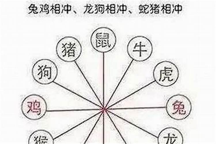 1984年正月初二生的2015年运气