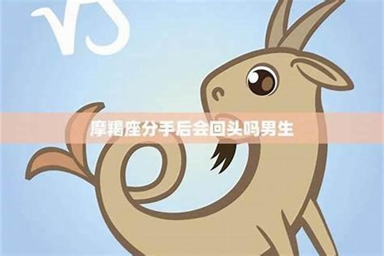 71年猪男2025年感情运