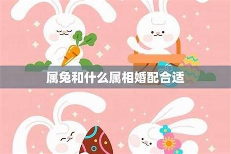 梦见人死了又活了结果又死了的预兆