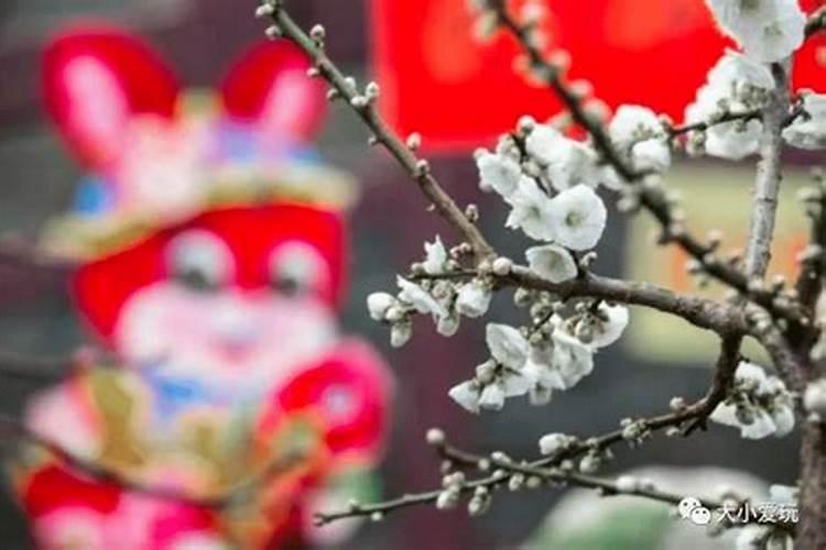 正月初五可以上坟祭祖吗为什么