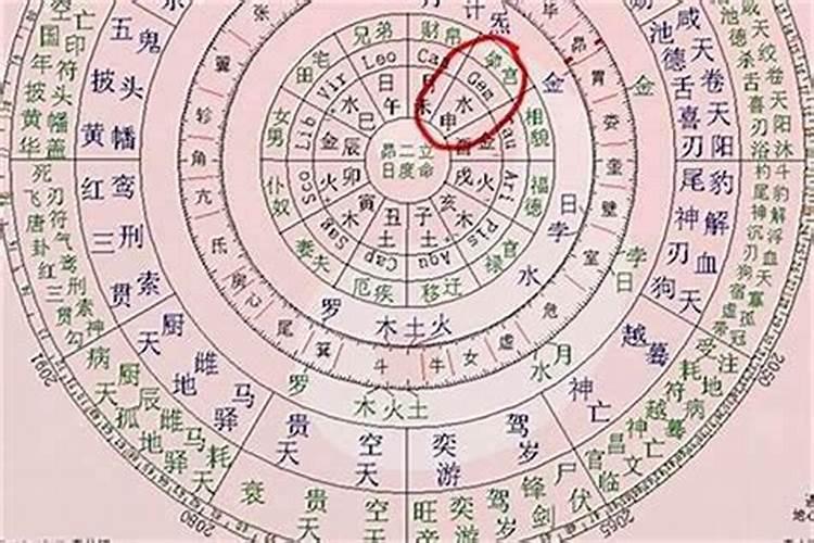 1977年出生属蛇的人今年的运势如何