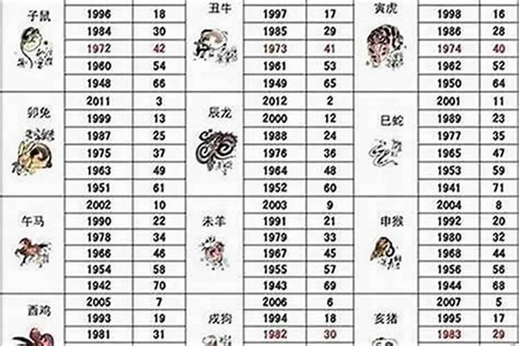 属虎冬月出生命运