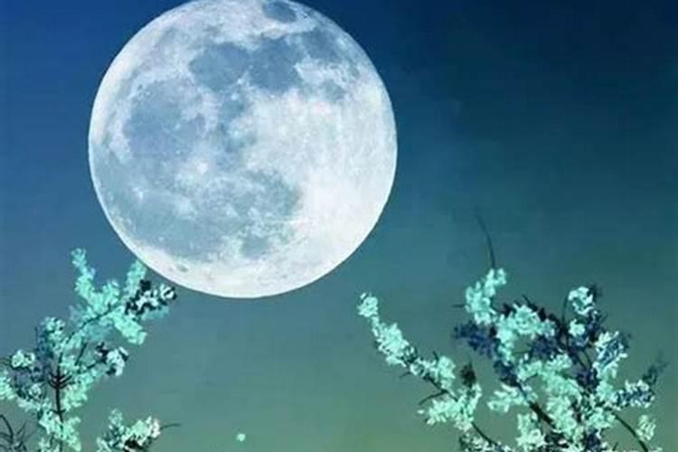 改变运气财运的十大方法(最厉害的转财运五种方法)