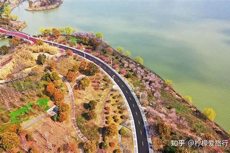 74年虎女一生的婚姻,74年虎女和82年狗男婚姻幸福吗？