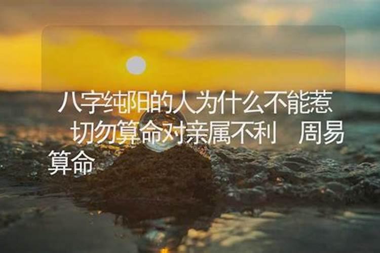 八字假纯阳女,为什么纯阳之女不算命